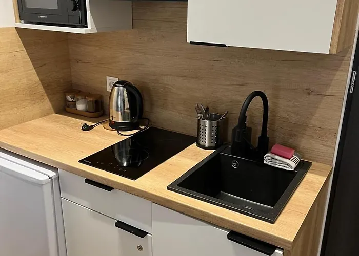 Apartament Urban Plebiscytowa *