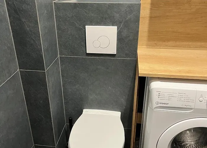 Apartament Urban Plebiscytowa *